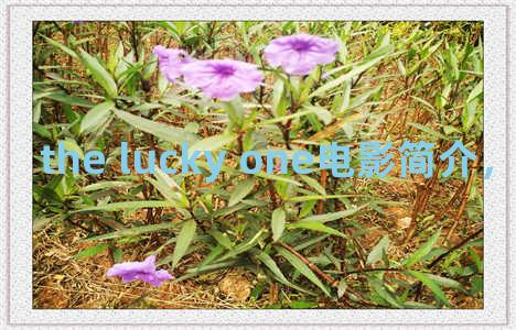 the lucky one电影简介，电影 the lucky one